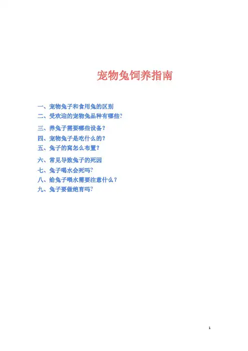 宠物兔饲养指南