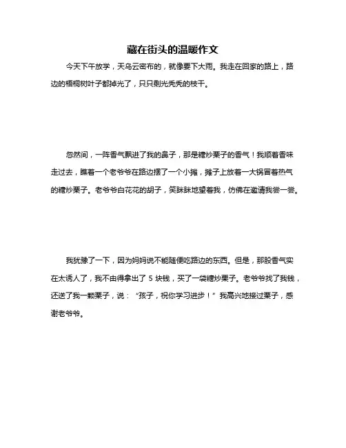 藏在街头的温暖作文