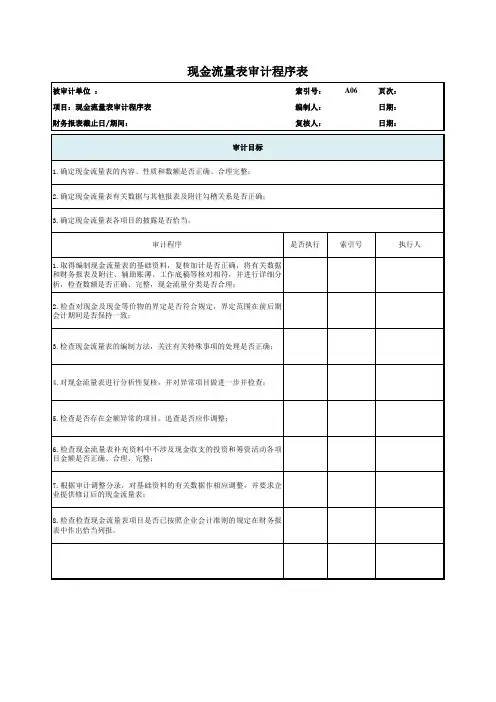 现金流量表审计工作底稿(原版)