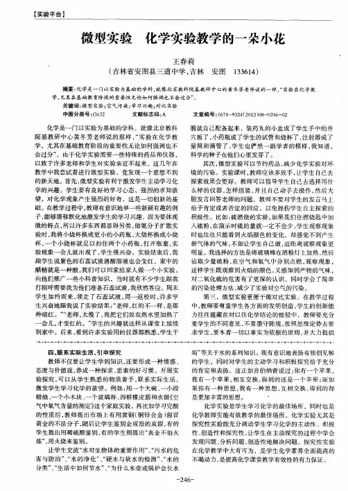 微型实验化学实验教学的一朵小花