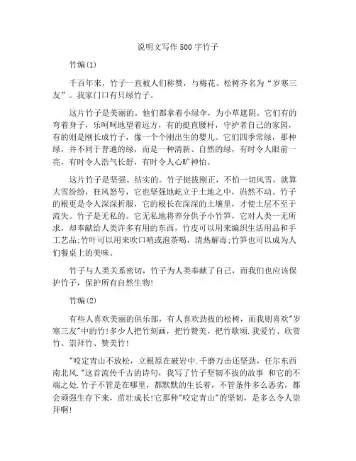 关于说明文的作文500字竹子