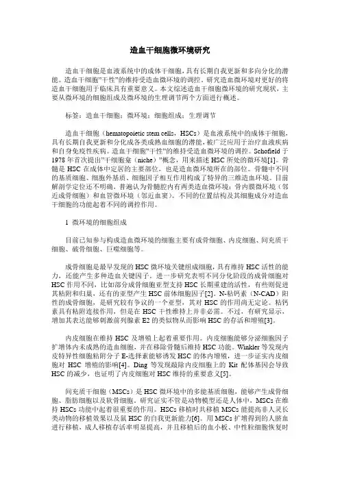 造血干细胞微环境研究