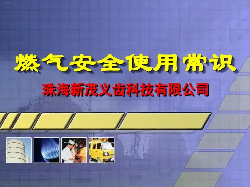 燃气安全使用常识培训课件(PPT33页)