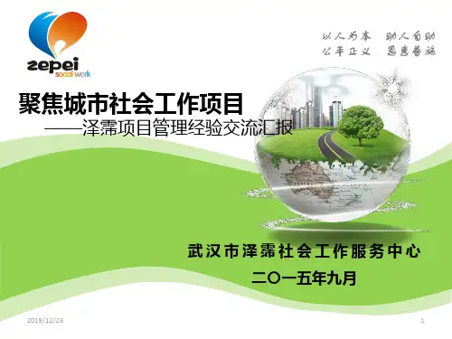 社工项目汇报PPT课件