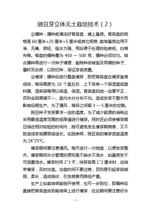 豌豆芽立体无土栽培技术(2)
