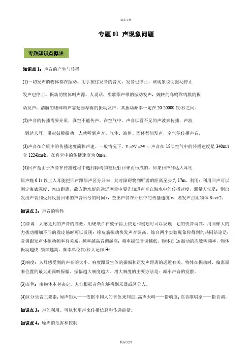 2021年中考物理微专题复习 专题01 声现象中考问题(教师版含解析)