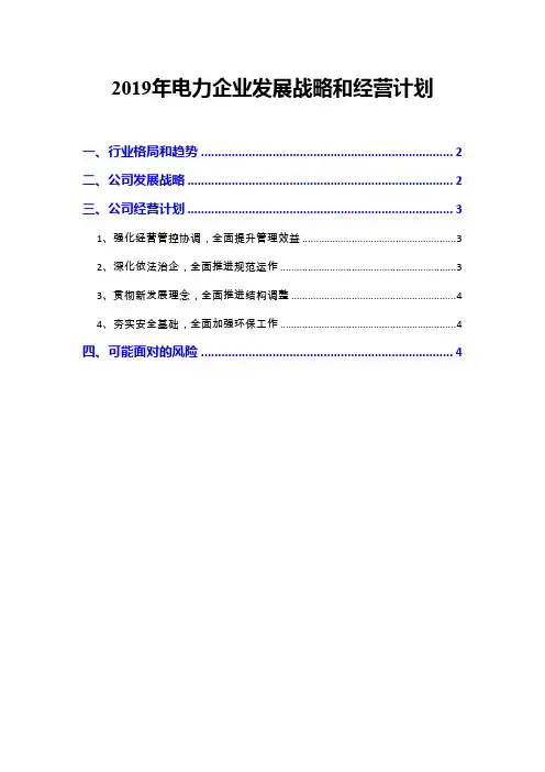 2019年电力企业发展战略和经营计划