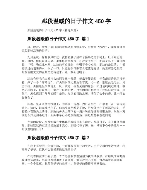 那段温暖的日子作文450字