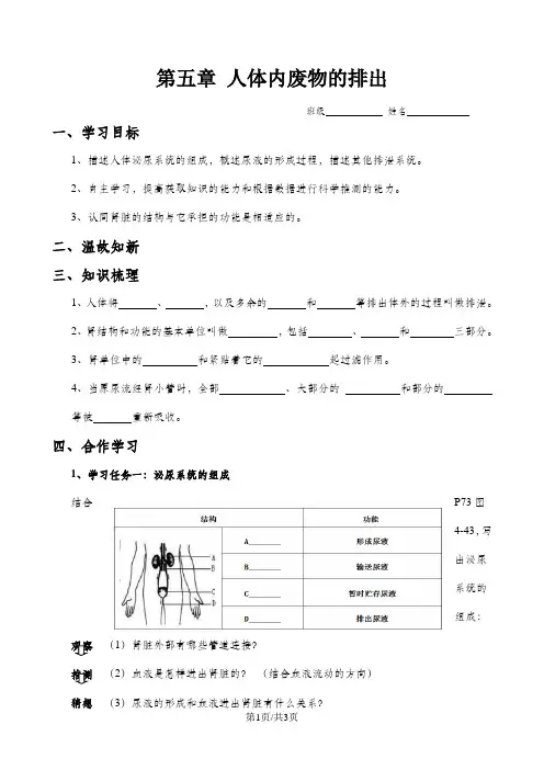 人体内废物的排出导学案