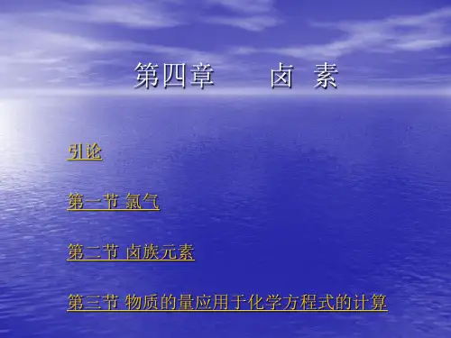第四章 卤 素.ppt