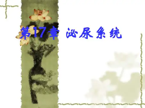 组织学与胚胎学课件：第17章泌尿系统