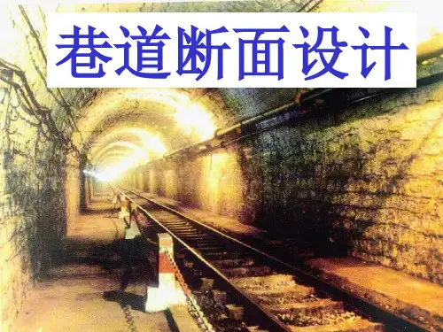 dAAA巷道断面设计
