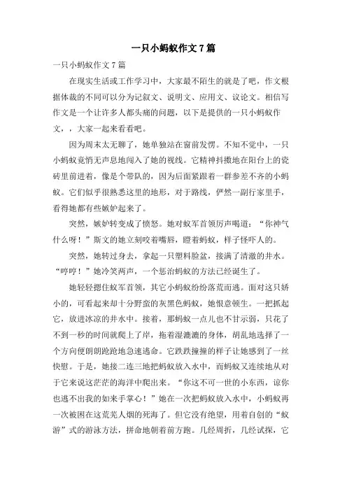 一只小蚂蚁作文7篇
