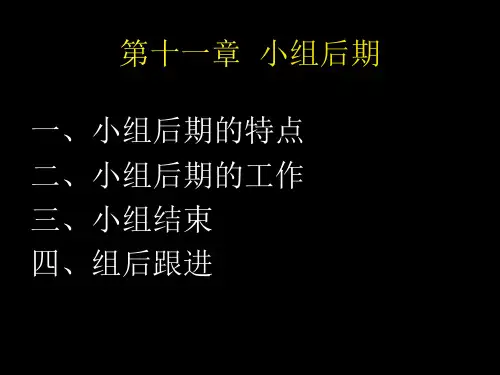 小组工作第11、12章