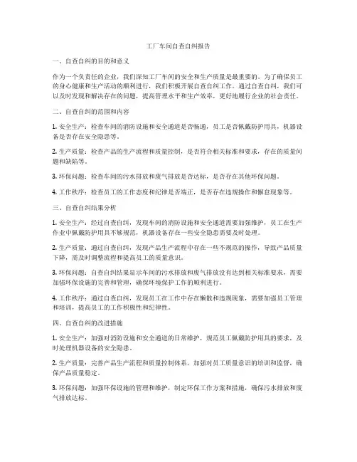 工厂车间自查自纠报告