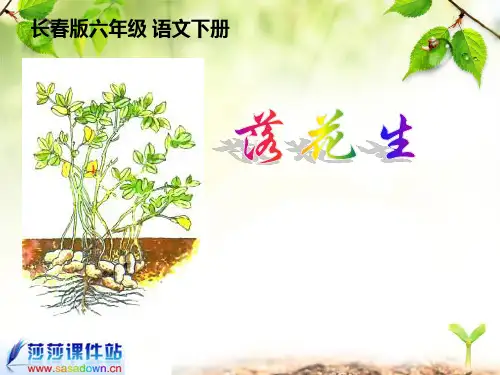 (全)长春六级语文下册PPT资料