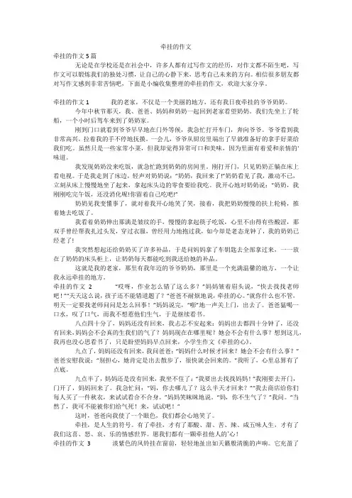 牵挂的作文_16