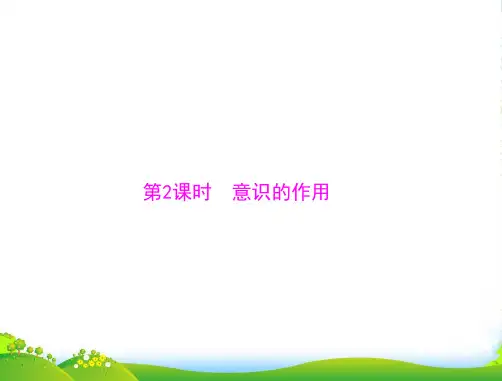 高中政治 生活与哲学 第二单元 第五课 第2课时 意识的作用课件 新人教必修4