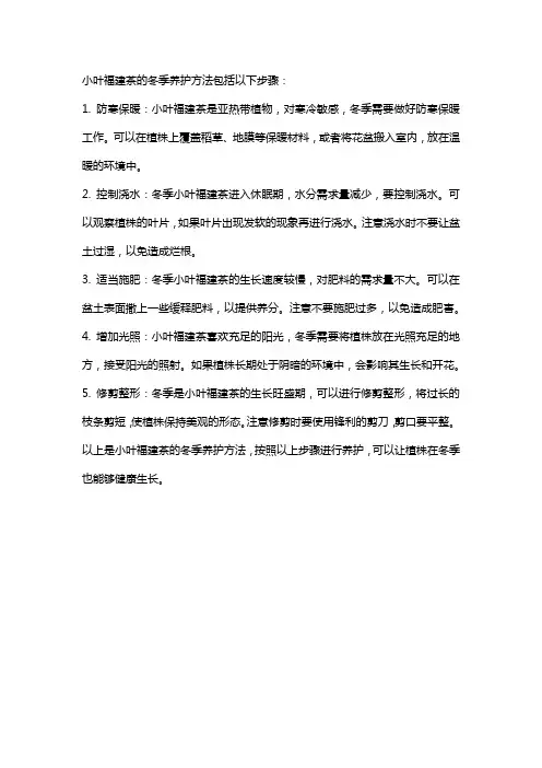 小叶福建茶的冬季养护方法