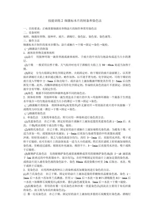 技能训练2 细菌标本片的制备和染色法