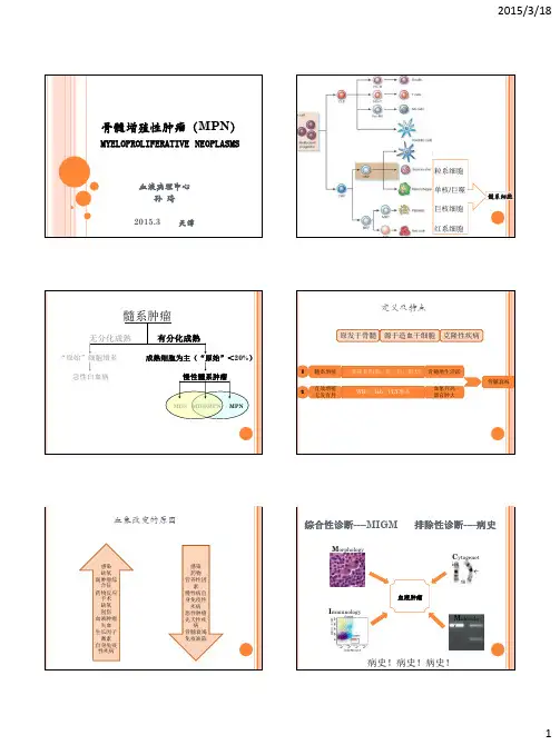骨髓增殖性肿瘤(MPN)