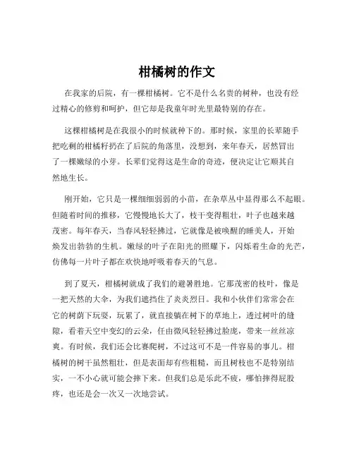 柑橘树的作文