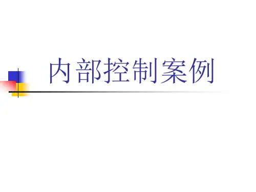 内部控制案例