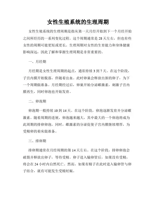 女性生殖系统的生理周期