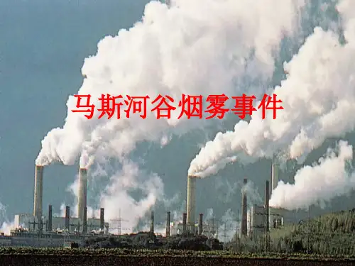 马斯河谷烟雾事件分析