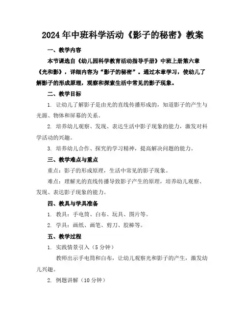 2024年中班科学活动《影子的秘密》教案