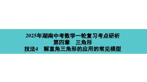 2025年湖南中考数学一轮复习考点研析 第四章 三角形技法4 解直角三角形的应用的常见模型