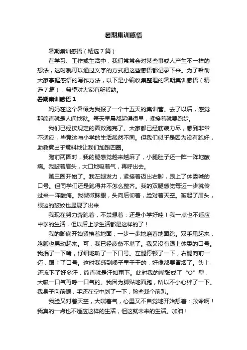 暑期集训感悟（精选7篇）