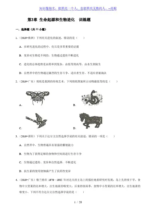 人教版生物八年级下册第3章 生命起源和生物进化 训练题(解析版)