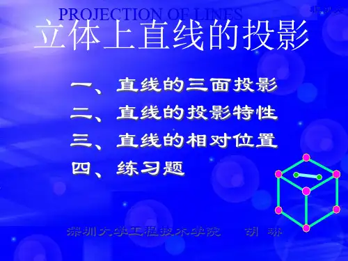 直线的三面投影精品PPT课件