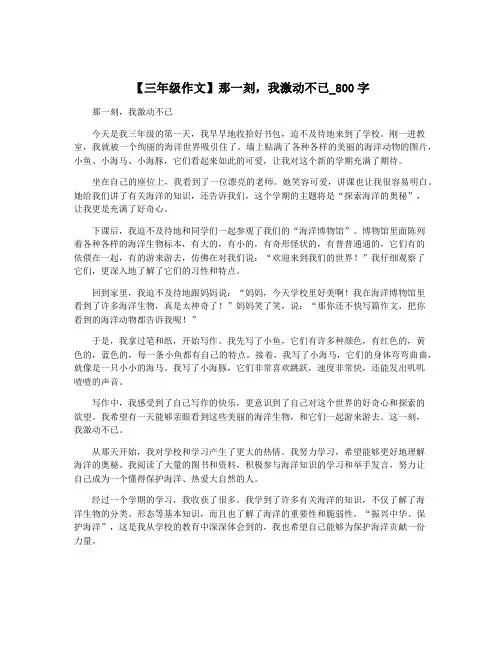 【三年级作文】那一刻,我激动不已_800字