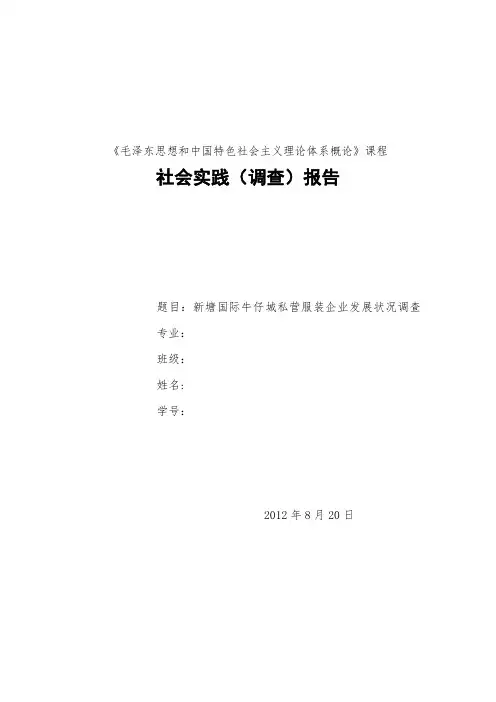 毛概实践报告