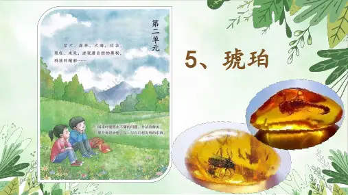部编版语文四年级下册5琥珀课件(共28张PPT)
