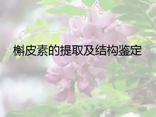 槲皮素的提取分离及结构鉴定