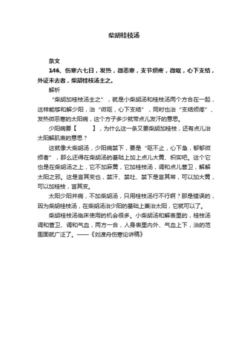 柴胡桂枝汤 2