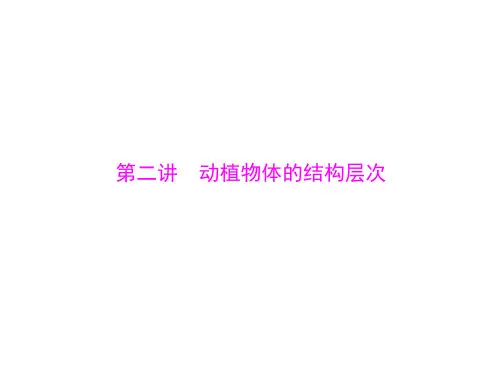 最新冀教版初中生物七年级上册《1.2第2章 生物体的结构层次》精品PPT课件 (2)