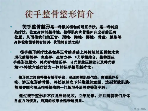 徒手整形(43页)
