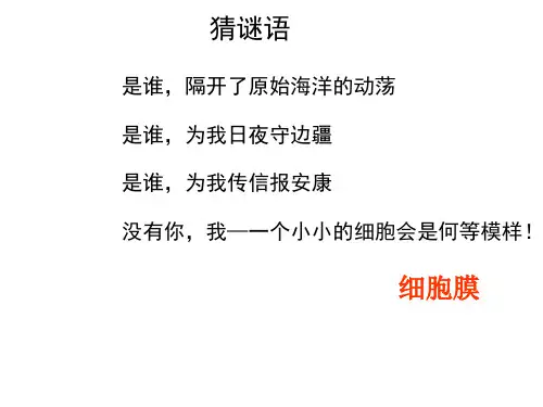 课件 磷脂双分子层