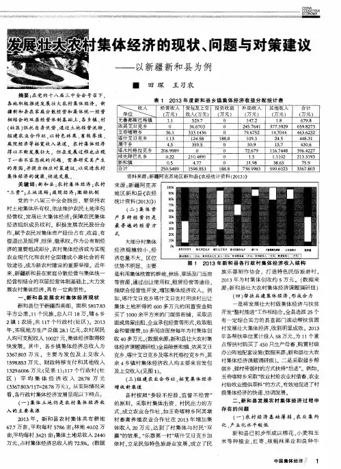 发展壮大农村集体经济的现状、问题与对策建议——以新疆新和县为例