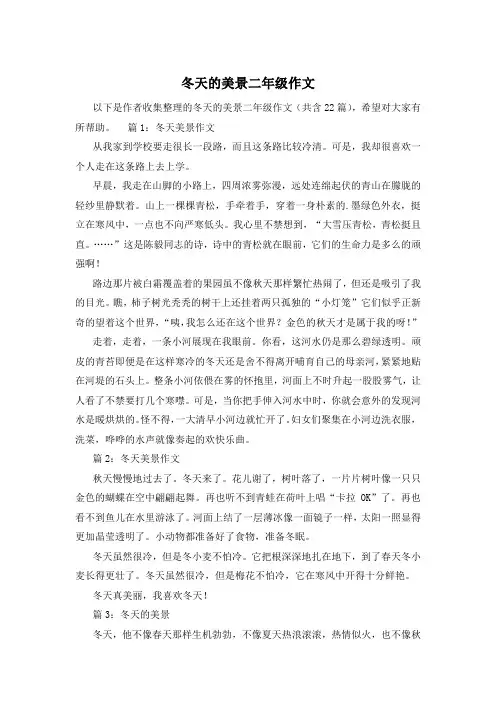 冬天的美景二年级作文