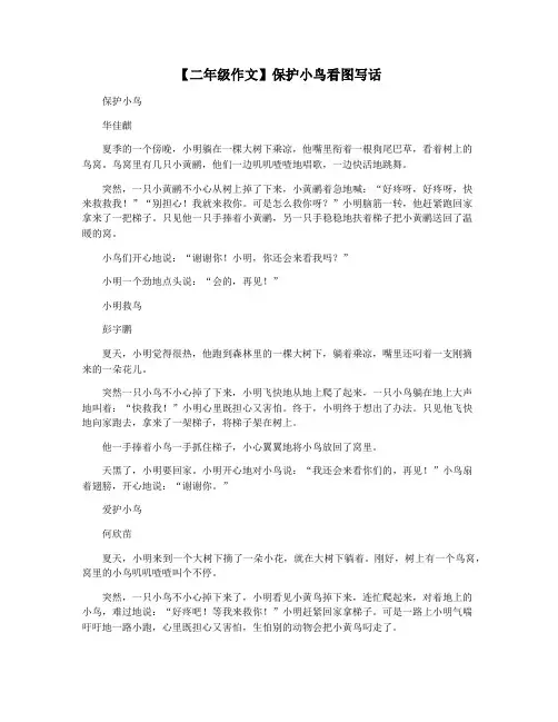 【二年级作文】保护小鸟看图写话