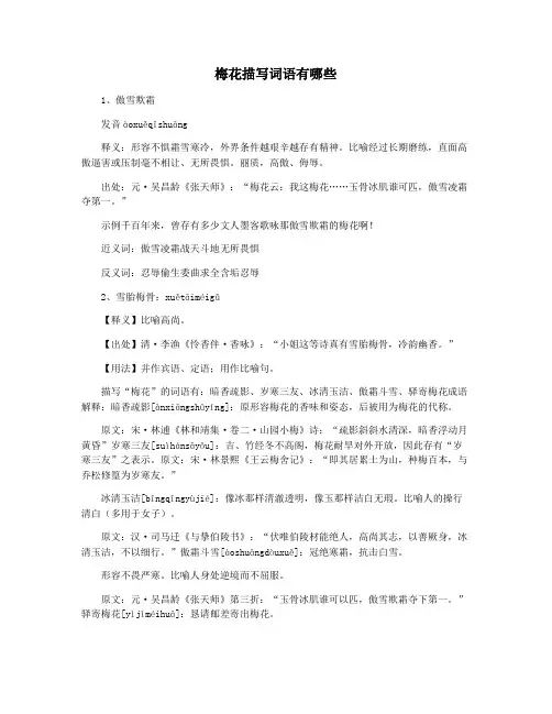 梅花描写词语有哪些