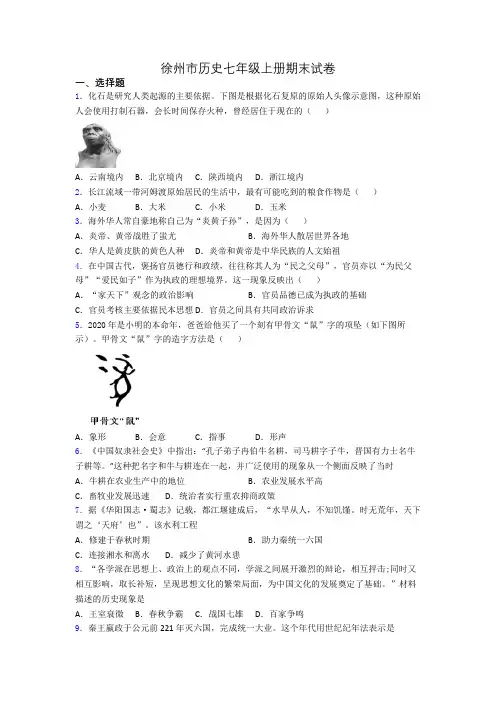 徐州市历史七年级上册期末试卷