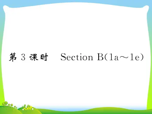 【最新】人教版九年级英语下册课件：Unit 11 第3课时 Section B(1a～1e).ppt