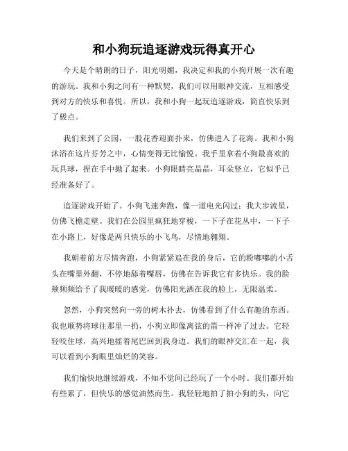 三年级作文那次玩得真高兴之和小狗玩追逐游戏玩得真开心