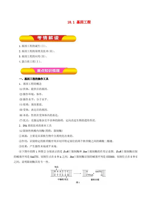 高考生物一轮复习专题10.1基因工程教学案(含解析)